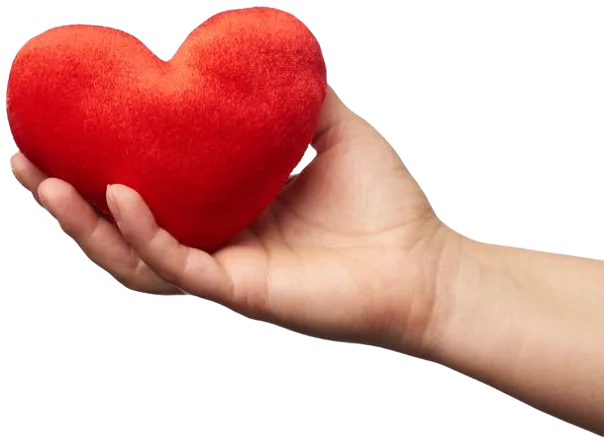 female-hand-holds-red-textile-heart-white-backgrou-3DRAPZU-1.png