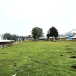 1- Shama Laka Primary School compound
