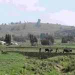 22- Aleltu, June 2023
