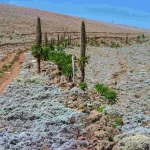 23- Bale mountain scenery