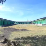 6- Fiche Kindergarten