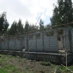 aleltu kg 08052023
