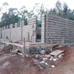 dorzé 2 at 04022023
