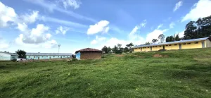 1 tulla hs campus