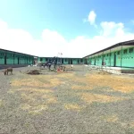 2 fiche kg compound today