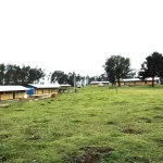 2 shama laka primary school compound 2025!