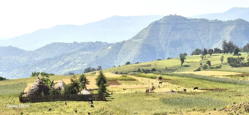Rapport d’Activités Juillet-Dec 2025 3 scenery on the road to shama laka