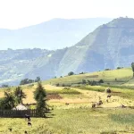 3 scenery on the road to shama laka