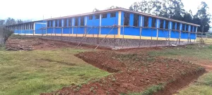 4 d. kale hs new block rear