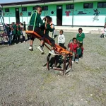 4 new play equipment