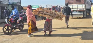 Rapport d’Activités Juillet-Dec 2025 6 woman selling wood in chencha